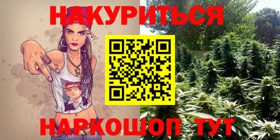 сатива Будённовск