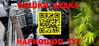 сатива Будённовск